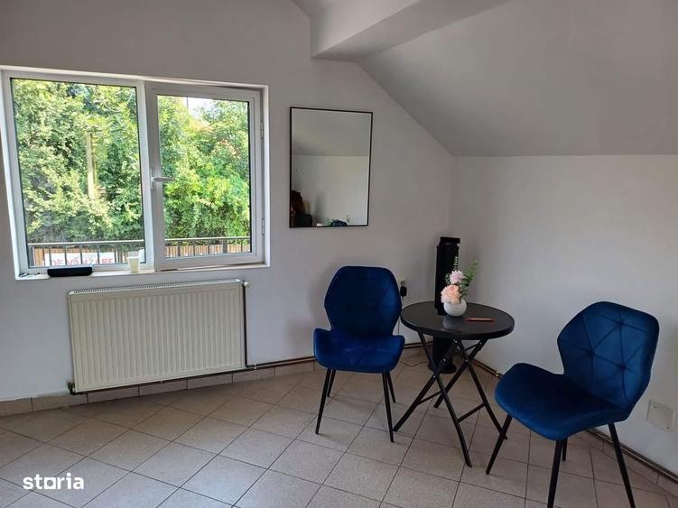 Cornu - ultracentral - Spatiu 40mp - 250 Euro/Luna - 2