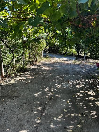 Casa batraneasca - 3