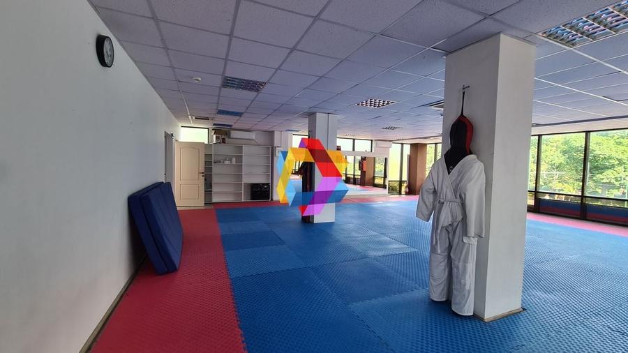 Cladire mixta - cu chiriasi- 1053 mp #plus-imo.ro - 3