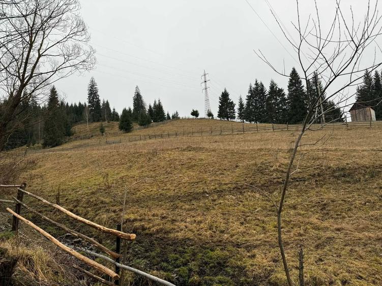 Teren Intravilan Vatra Dornei - 2833 mp - 4