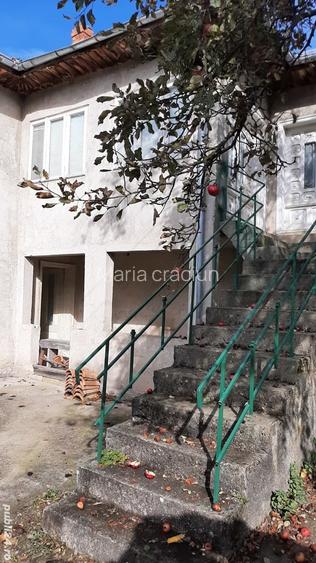 Casa vanzare la munte Luncile_Lopatari,jud.Buzau Casa vanzare la munte Luncile_Lopatari,jud.Buzau