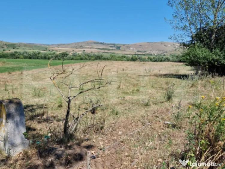 Teren extravilan 5008 mp, in Iara - 1