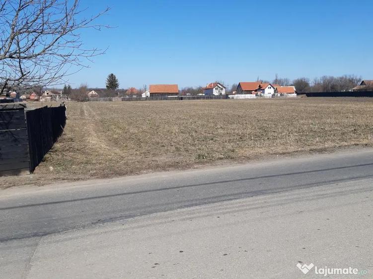 Teren intravilan construibil zona rezidentiala Lunca Calnicului 2325mp - 5