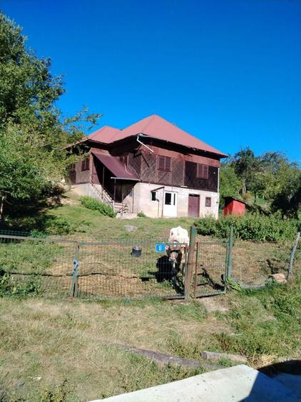 Casa de vanzare Nucsoara - 5