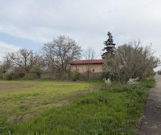 Teren intravilan 700mp, Lilieci, Ialomita(20 min de Bucuresti) - 5