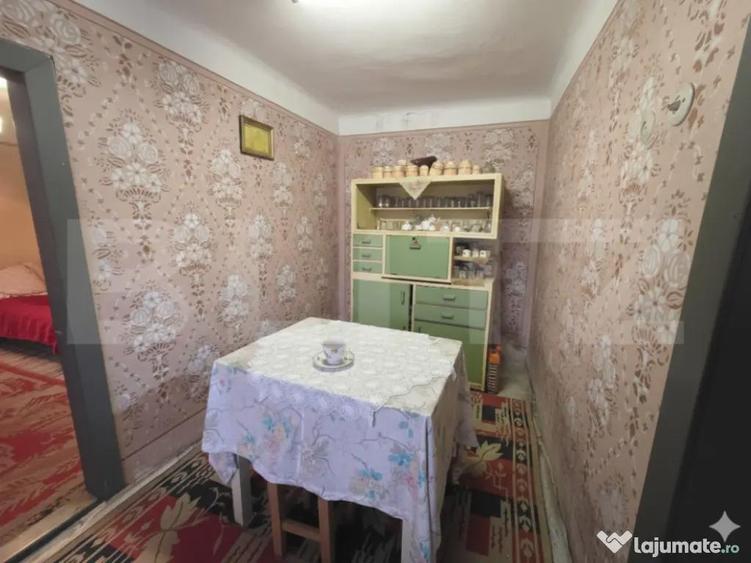 Gospodarie Completa, 130 mp, 1.300 mp Teren, Doice?ti - 4