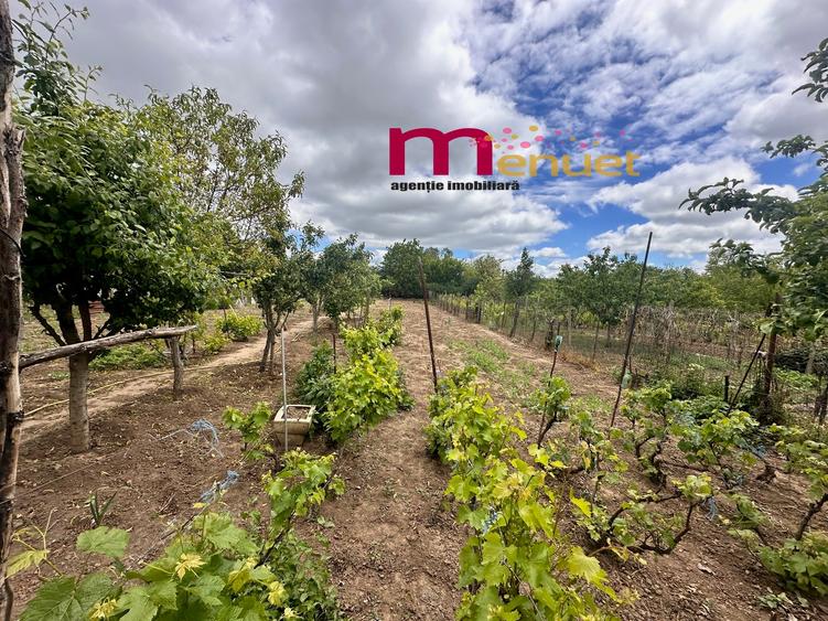 Casa +Teren 1500 mp - 1