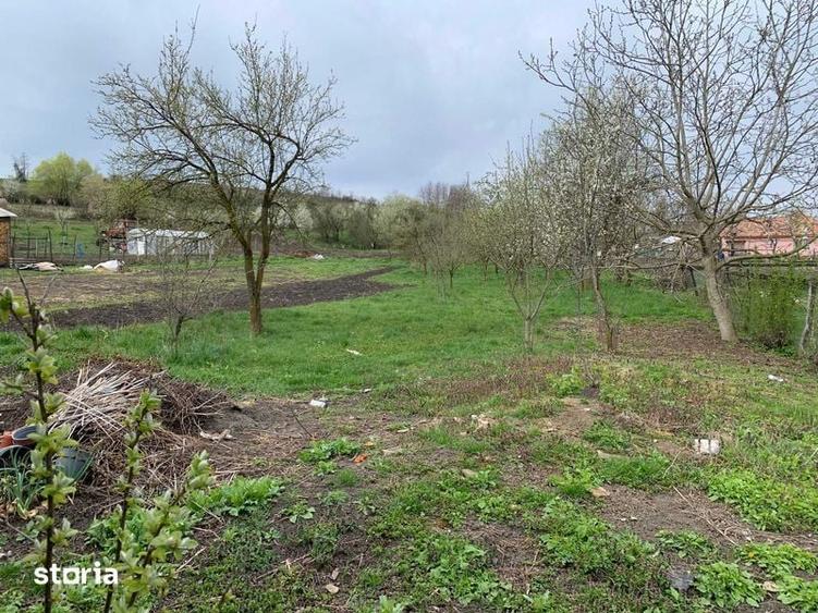 Casa la tara cu teren 2700 MP - 2