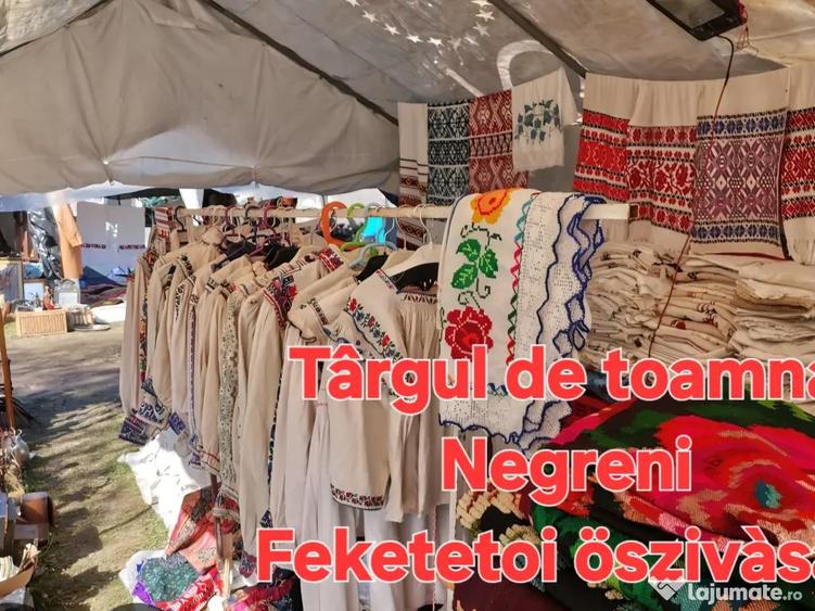 Teren de vanzare 26403mp - 6