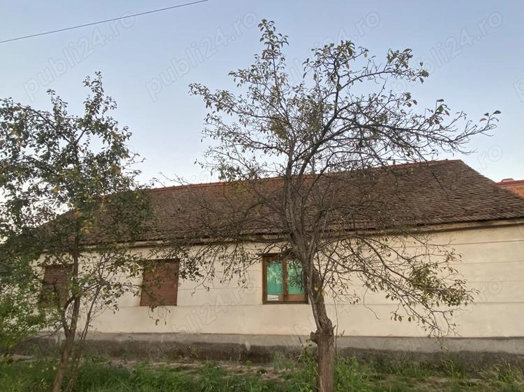 Casa cu pozi?ie excelenta, centrala, in Faget - 9