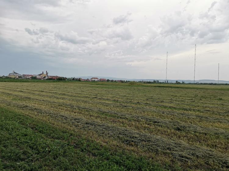 Teren agricol in zona Bod - 3