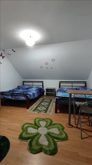 Pensiune in Sasca Montana - 9