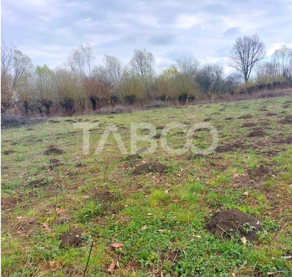 Teren intravilan pentru casa zona linistita 550 mp front 21 m Cisnadie - 4