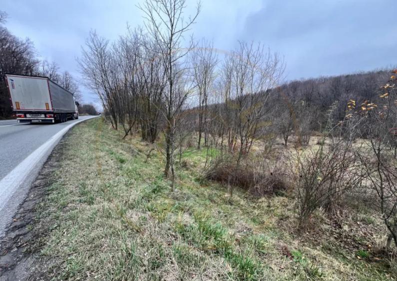 Teren intravilan 6.500 m2Deschidere 144 ml drum european - 4