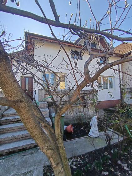 Vila pe strada Vasile Lupu - Ultracentral - 2