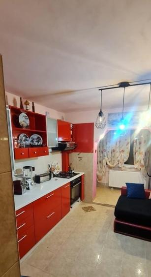 Oportunitate!!! Apartament 2 camere, decomandat, de vanzare, etaj 1, Craiter - 13