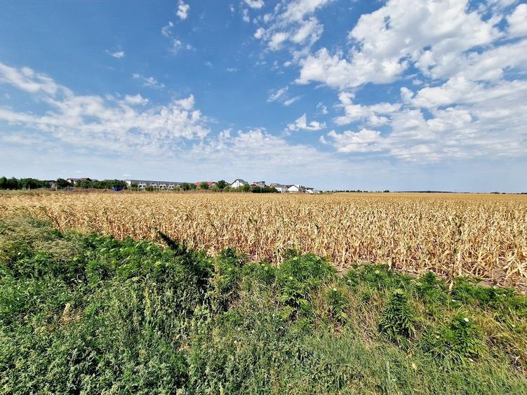 Teren intravilan- ALLEGRIA/ DN4 Glina 187500 mp - 5