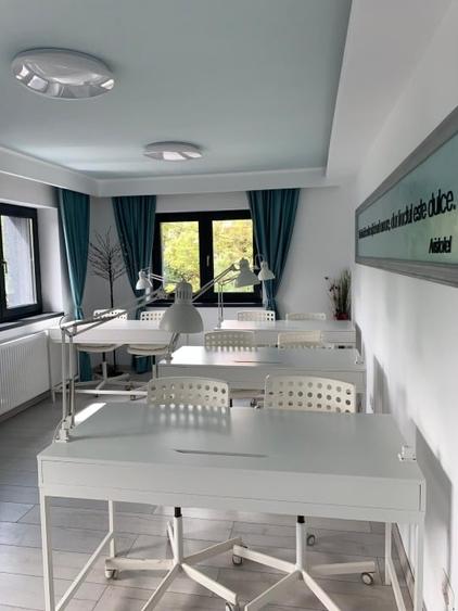 Proprietar - Casa D+P+1, vis-a-vis de Parc Bazilescu, Bucurestii Noi - 13