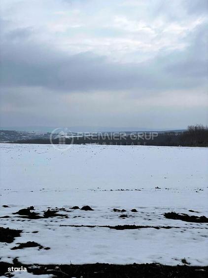 Teren extravilan 33.250mp, Miroslava - 1