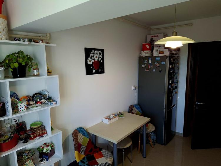 2 camere Craiovei , mobilat / utilat , Amplasament DEOSEBIT !!! - 13