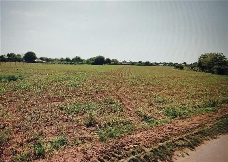 Teren generos pentru constructiii in vadul localitatii Ciolpani - 1