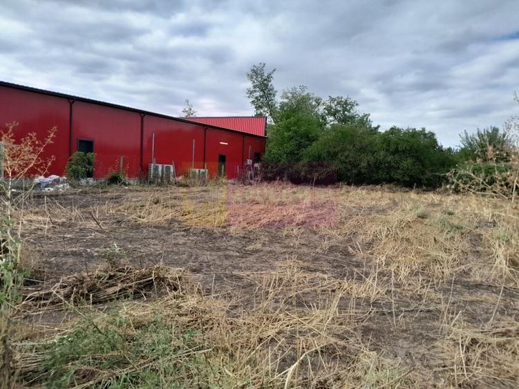 Movilita (IL)-teren de inch. 1800 mp stradal, 30 ml desch, langa Profi - 20