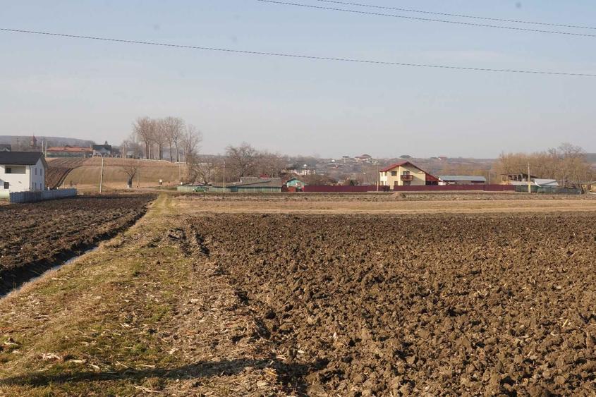 Vand teren extravilan 1800m, Ipotesti, Botosani - 2