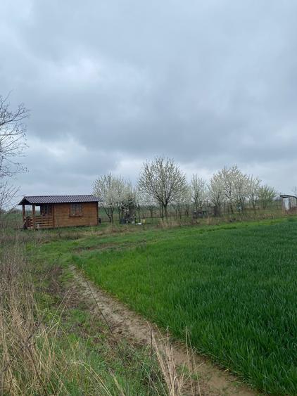 Vanzare teren intravilan Lazuri - 3