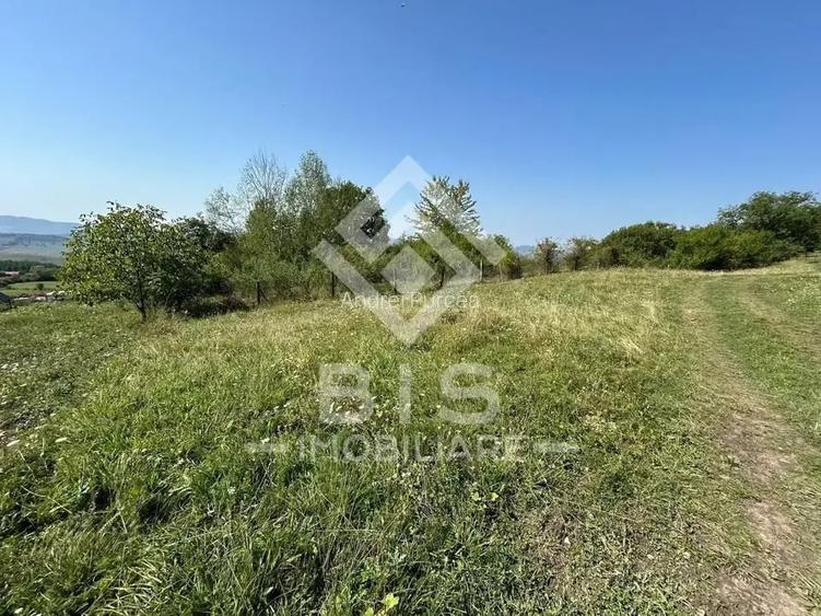 Teren Extravilan - 10'000 Mp - Valea Budacului (Bistrita) Teren Extravilan - 10'000 Mp - Valea Budacului (Bistrita)