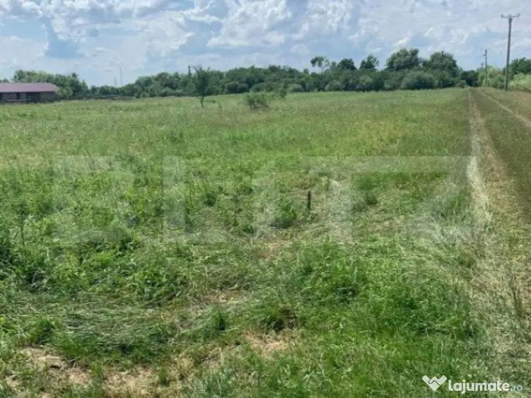 Teren Extravilan de Vanzare 40 Ari Strada Spicului - 3