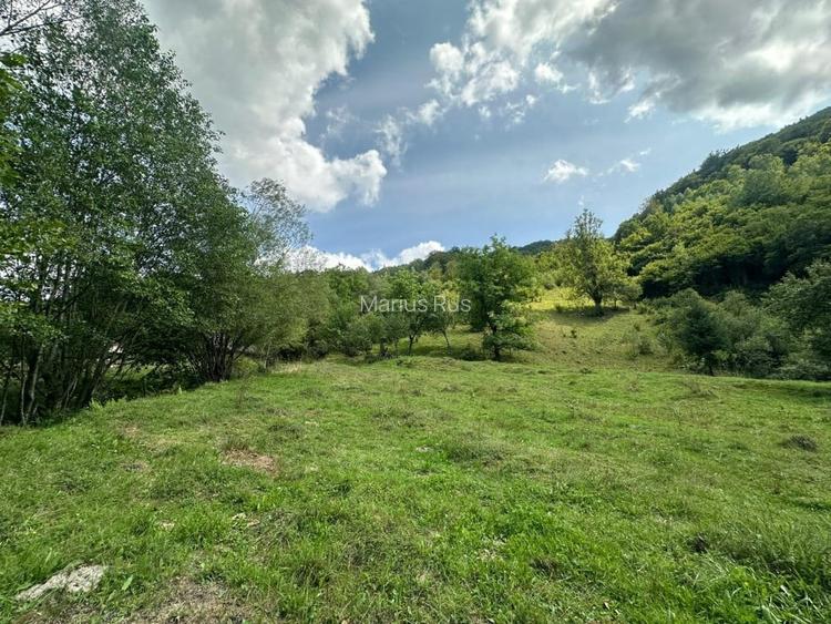 Teren 2 hectare pe Valea Ariesului, zona Scarita-Belioara, pret oportun 2 Eur/mp
