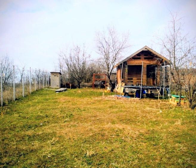 Teren proprietar Copou Iasi - 8