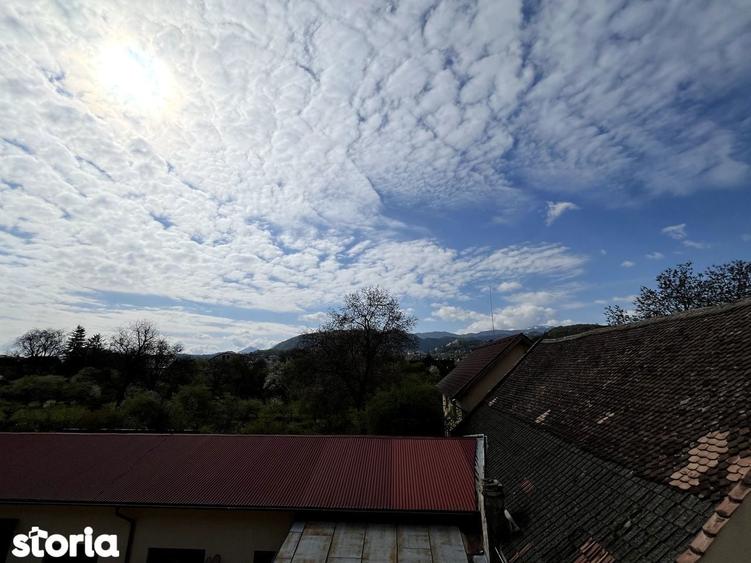 Apartament 2 camere- Pet friendly - 3