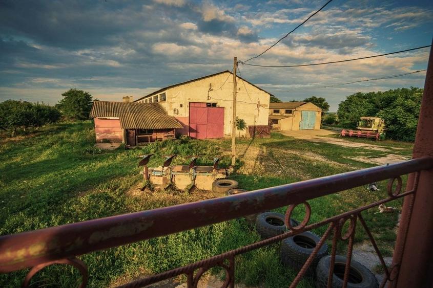 Poarta Alba, hale depozitare productie, teren 9100 mp - 1