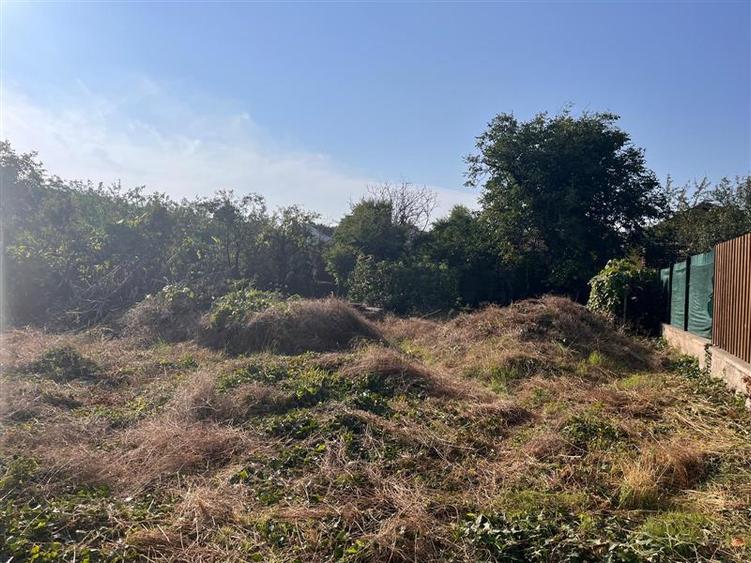 Timisoara, Vila Istorica Cu Teren Generos De 802 Mp. Zona Balcescu-Elisabetin - 30