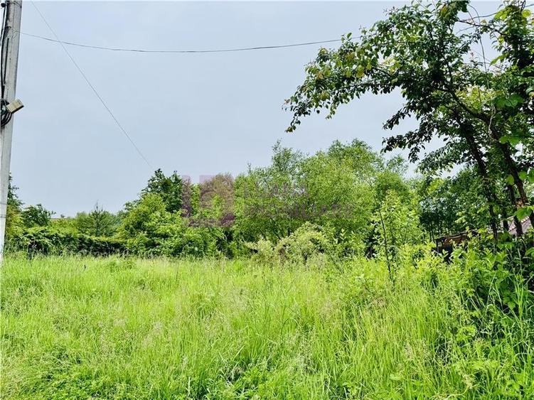 Teren intravilan 1600 mp | Valea Avrigului | zona turistica - 2