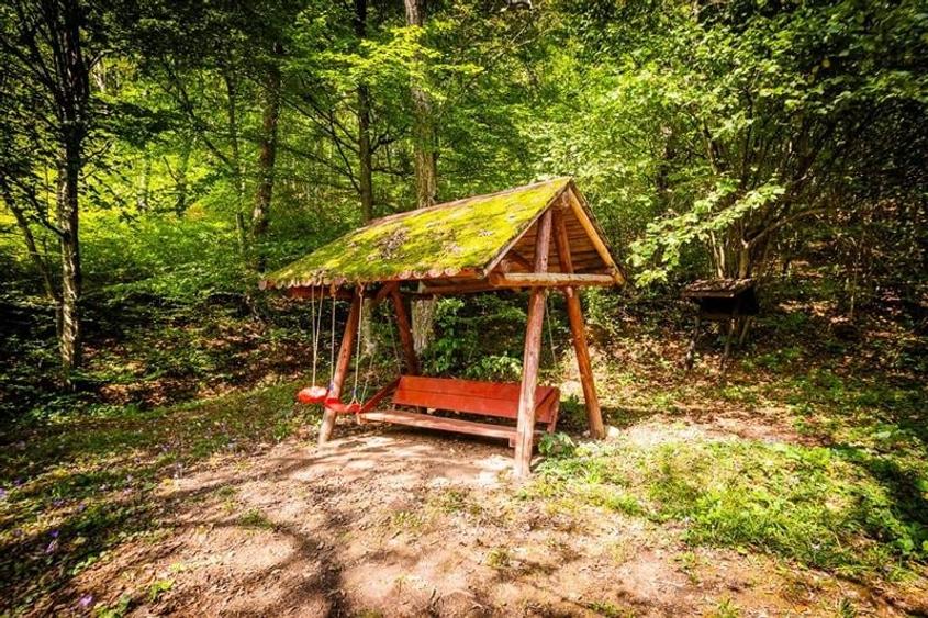 FILM! Complex turistic apreciabil, pe 2.000 mp teren in Cheile Rasnoavei, Brasov - 7