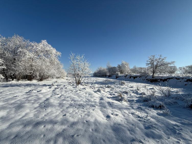 Teren intravilan 500 sau 1000 mp Bran-Tohanita la dum asfaltat - 14