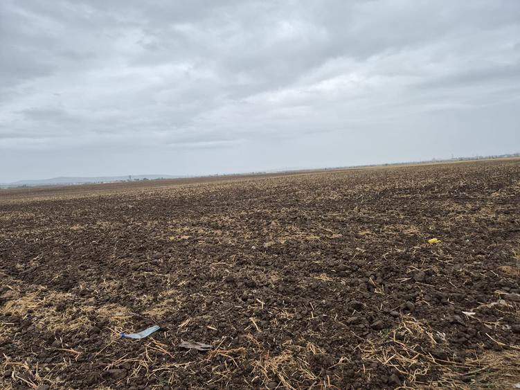 Metro Ploiesti - Paulesti, vanzare teren 39.144mp. - 15