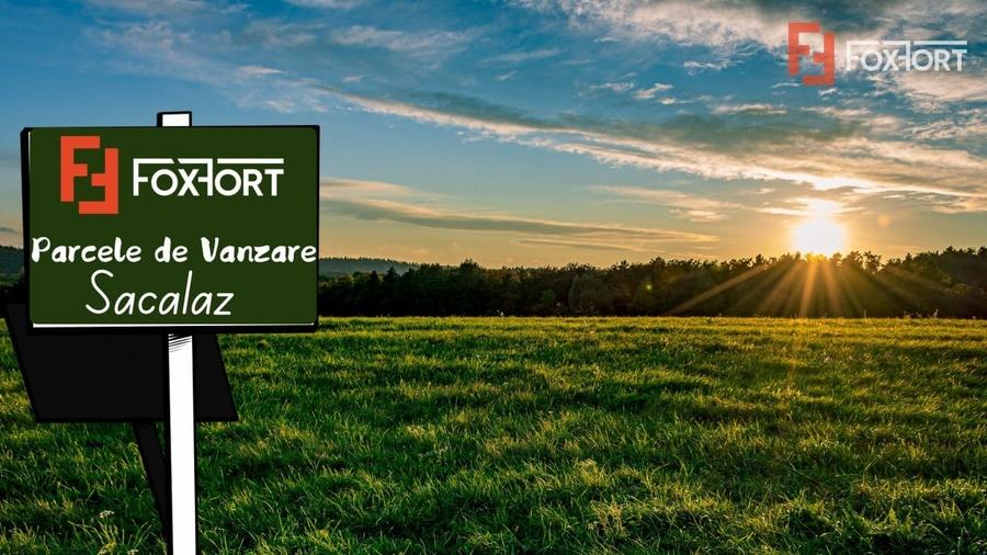 Teren intravilan in Sacalaz - Oportunitate de investitie - 1