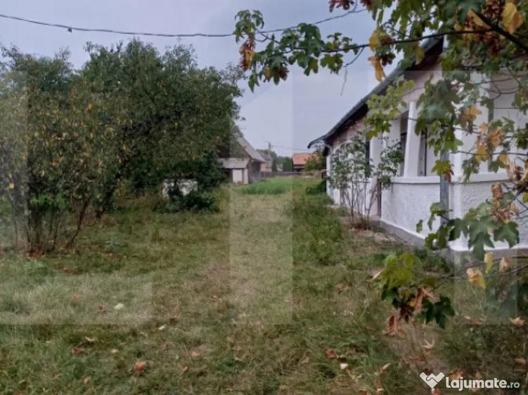 Casa taraneasca in centru Hatuica - 2