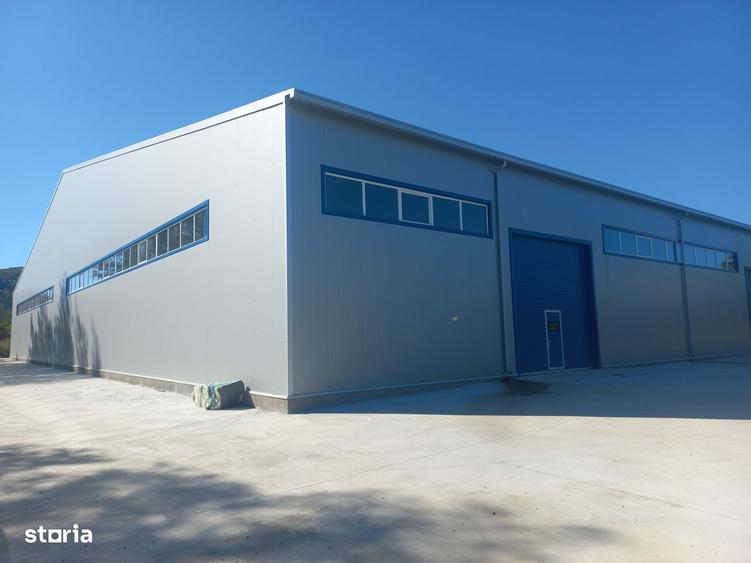 Hala depozitare sau productie 10000 mp - 1