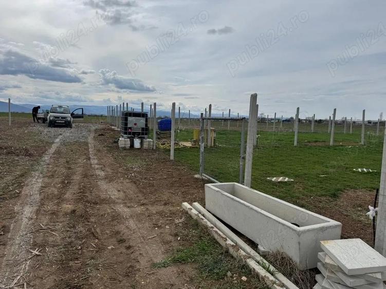 gradini de inchiriat - 3