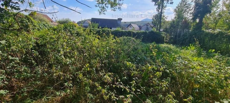 Casa individuala cu 3 camere,CODLEA - DUMBRAVITA ,65000 euro - 9