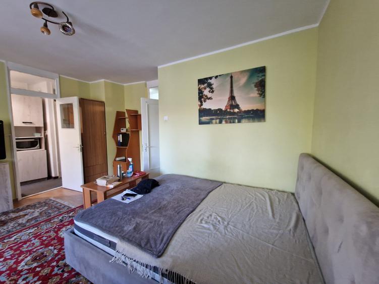 1 CAMERA - PACURARI - Moara de Foc - mobilat si utilat - - 14