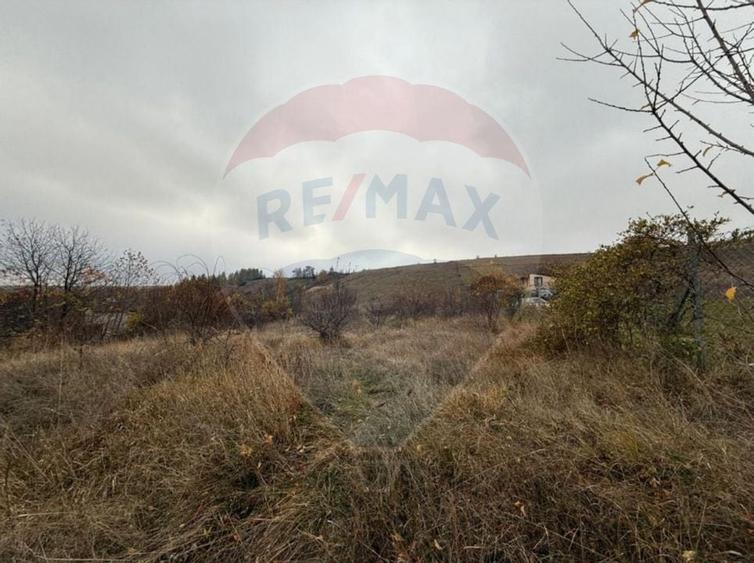 Teren intravilan de vanzare 2.307 mp - Salicea, comuna Ciurila - 6