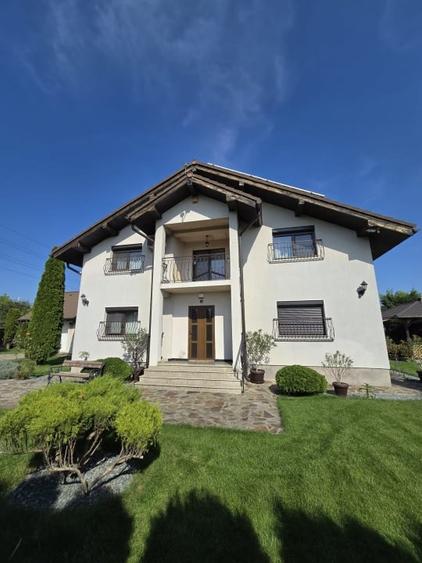 Casa de Vis, Serbanesti - 1