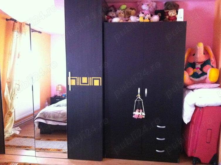 Casa 90 mp cu pamant 2650 mp de vanzare - 3