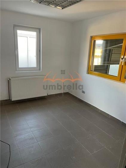 DE ?NZARE: DOUA HALE INDUSTRIALE CU ACCES FACIL DIN CENTURA ORASULUI - 2