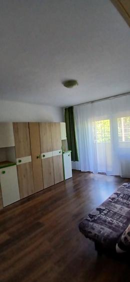 De vanzare apartament cu 1 camera Calea Aradului - 8